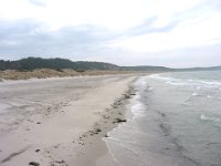 Lång fin sandstrand på Anholt